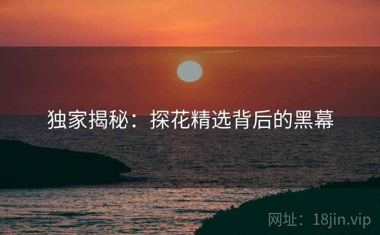 独家揭秘:探花精选背后的黑幕