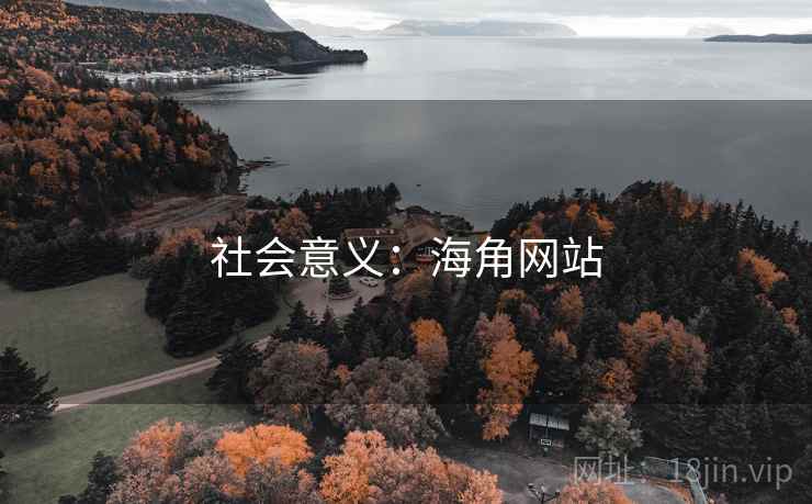 社会意义:海角网站