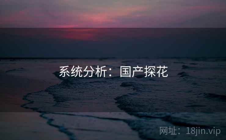 系统分析:国产探花