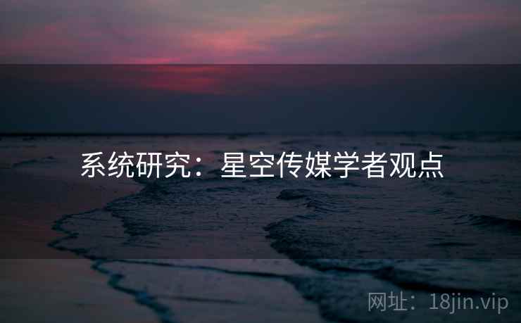 系统研究:星空传媒学者观点
