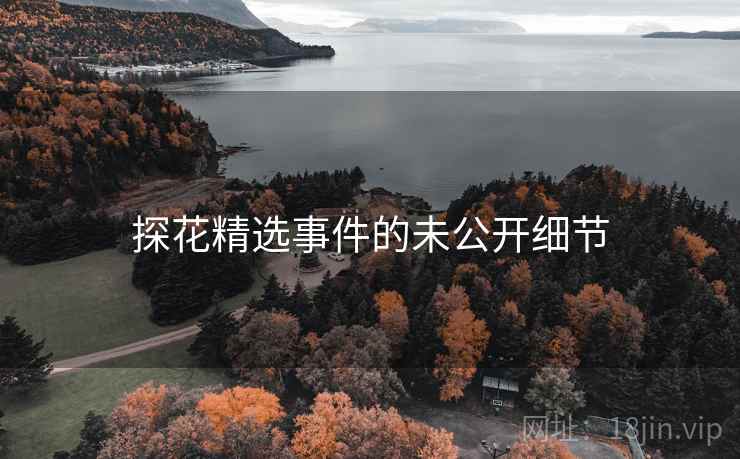 探花精选事件的未公开细节