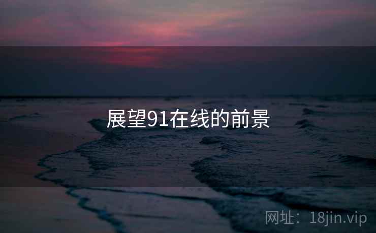 展望91在线的前景