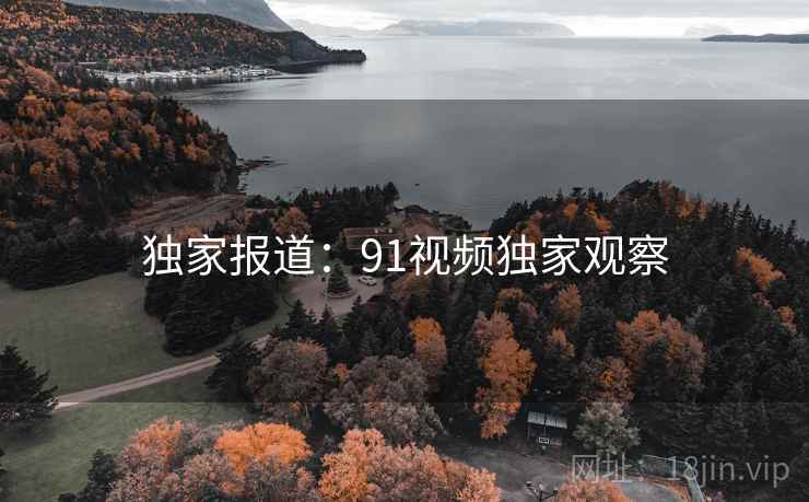独家报道：91视频独家观察
