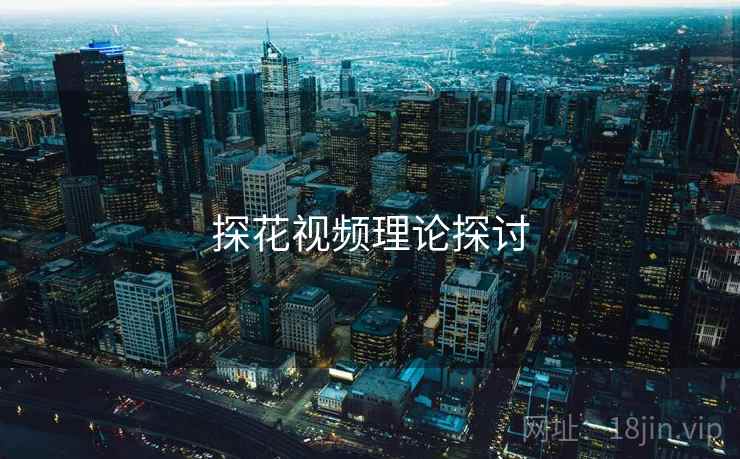 探花视频理论探讨