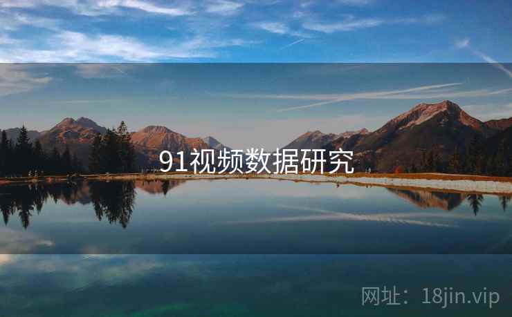 91视频数据研究