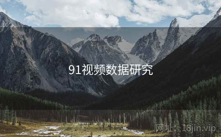 91视频数据研究