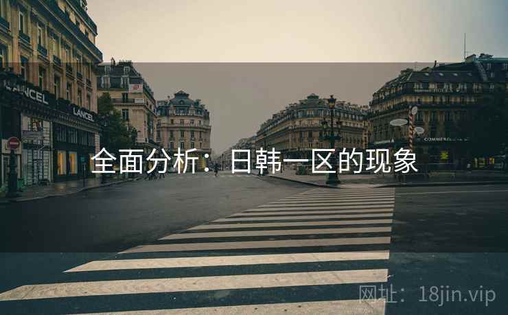 全面分析：日韩一区的现象