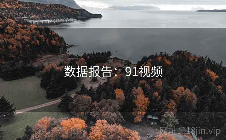 数据报告:91视频