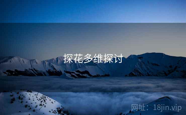 探花多维探讨