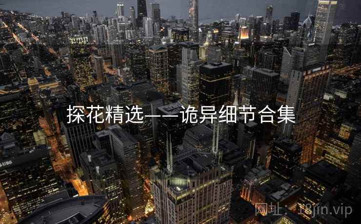 探花精选——诡异细节合集