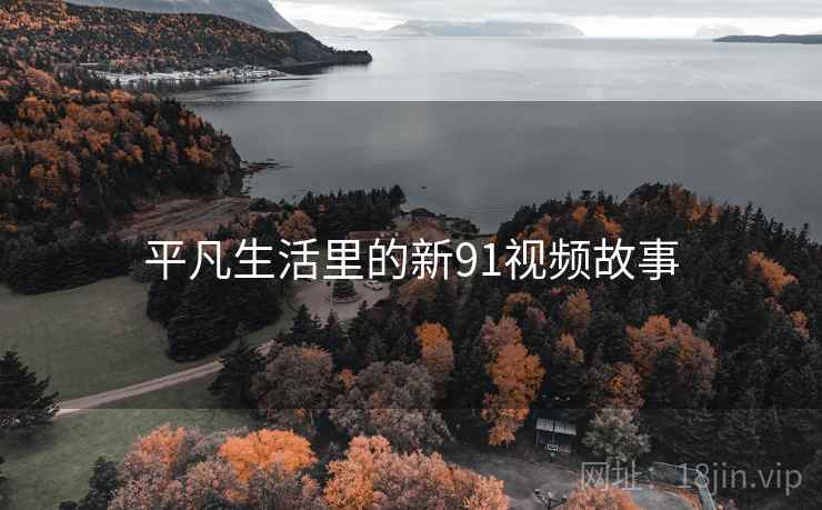 平凡生活里的新91视频故事