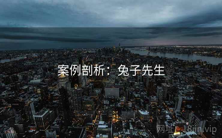 案例剖析:兔子先生