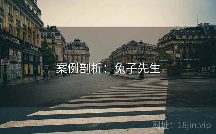 案例剖析:兔子先生