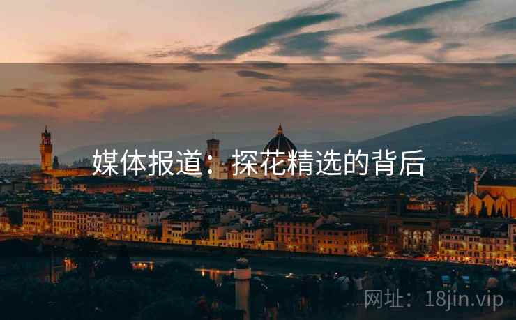 媒体报道:探花精选的背后