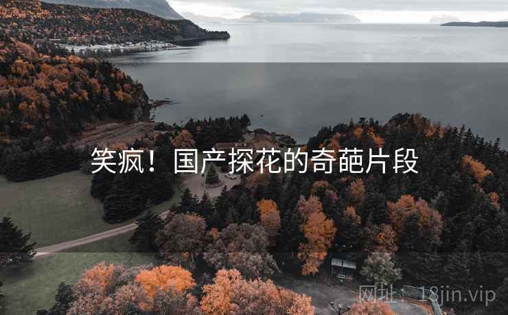 笑疯!国产探花的奇葩片段
